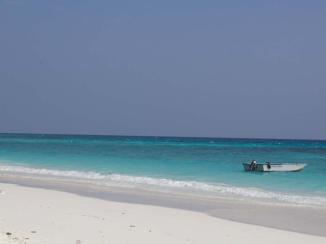 Ko Tachai Island-斯米兰群岛必去景点