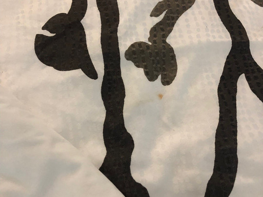 Sleep Inn University Place主图