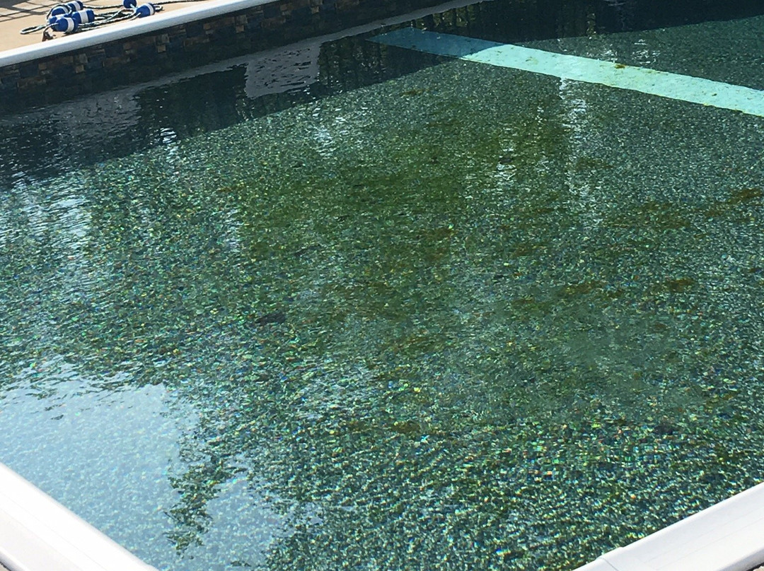 Comfort Inn Binghamton I-81主图