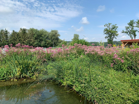 Forellenhof Nadler-Eching必去景点