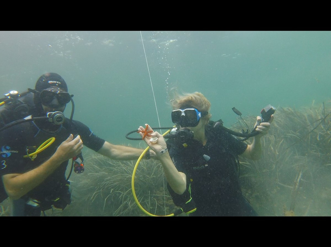 Tramuntana Diving & Adventure景点图片