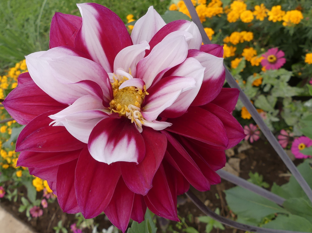 Lutheran Uhuru Hotel Moshi主图