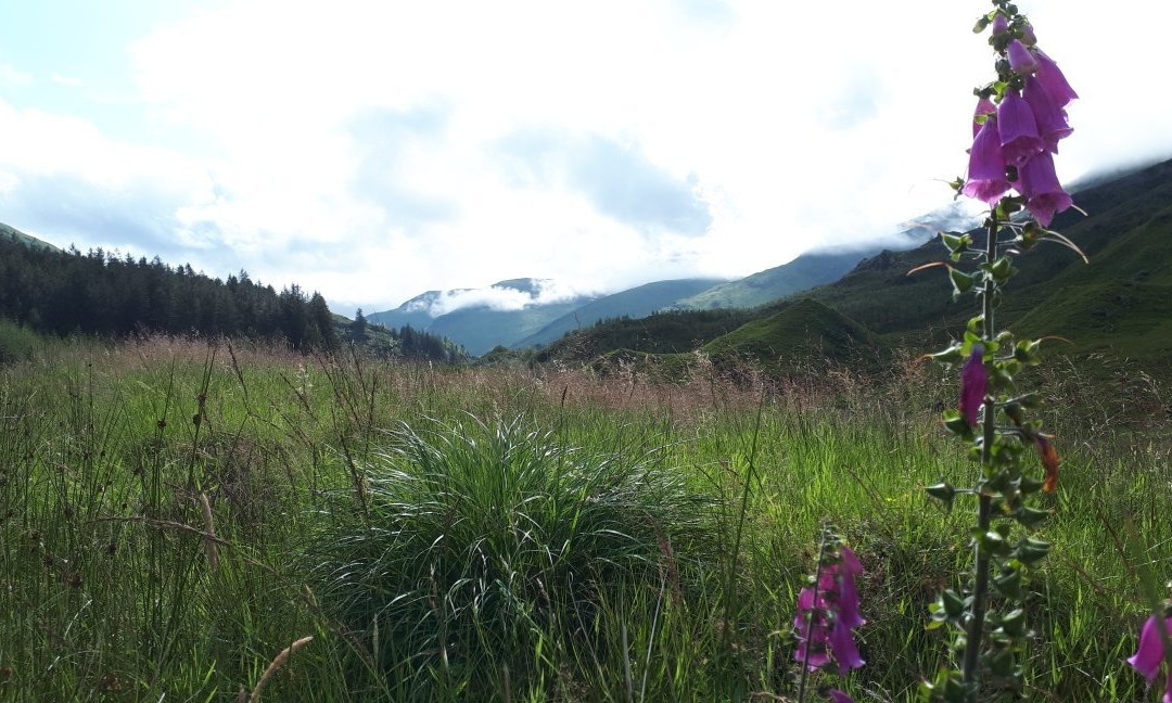 Loch Cluanie-Invergarry必去景点