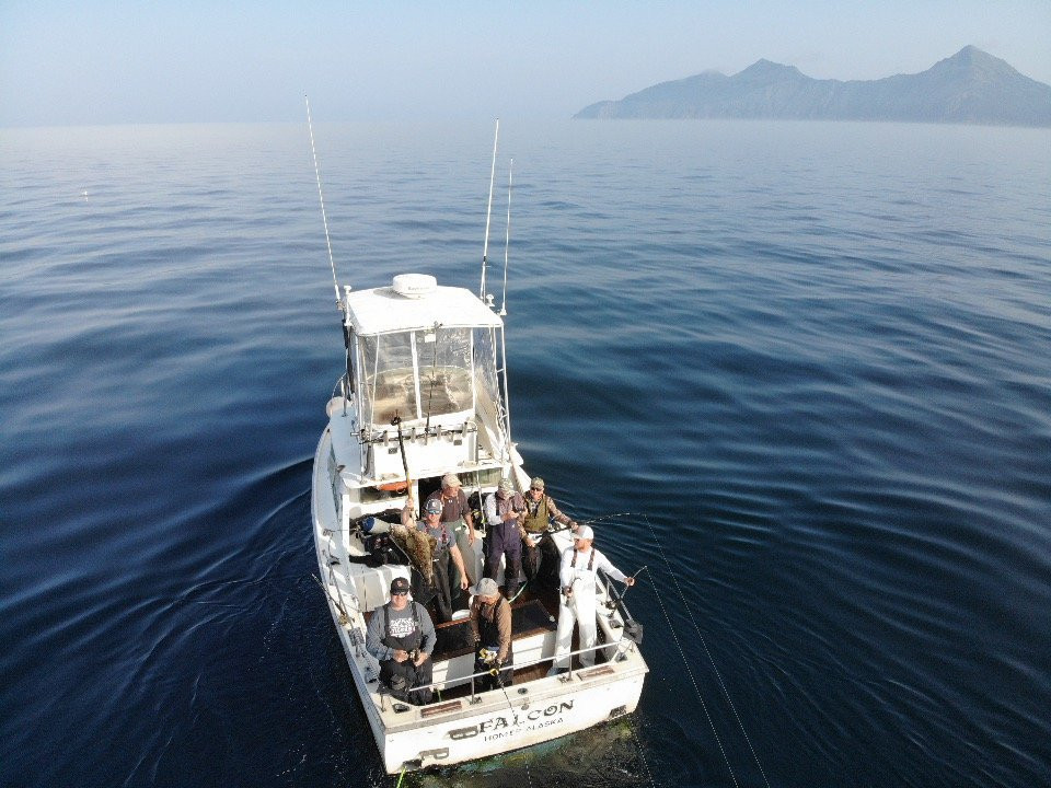 Falcon Charters-荷马必去景点