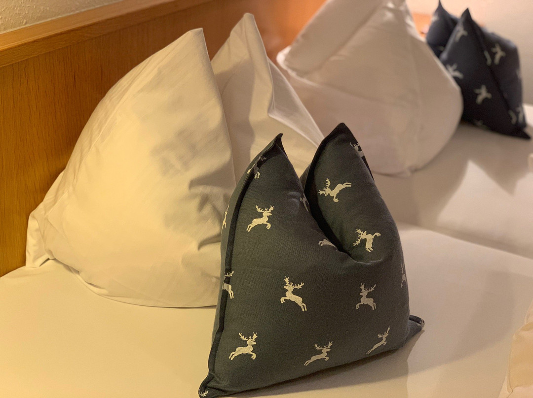 Hotel-Gasthof Bayerischer Hof主图