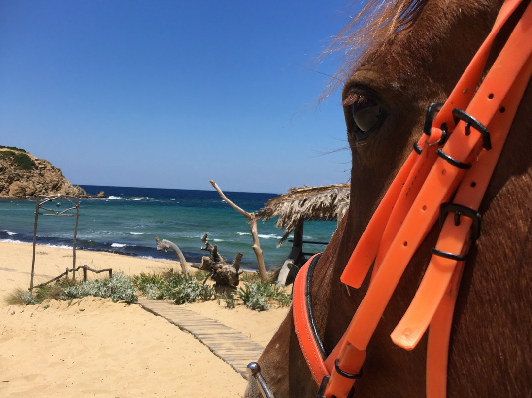 Elia Beach-斯亚索斯必去景点