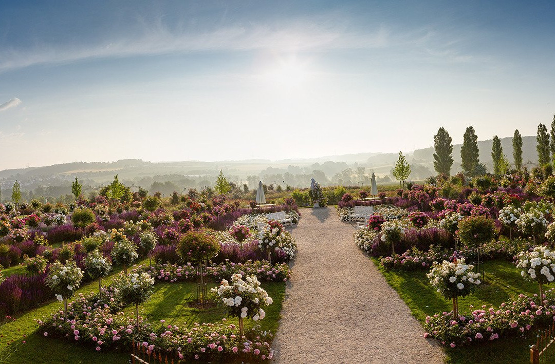 RosenPark Dräger-Bad Nauheim必去景点