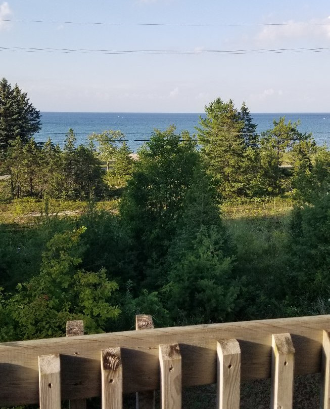 Driftwood Motel主图