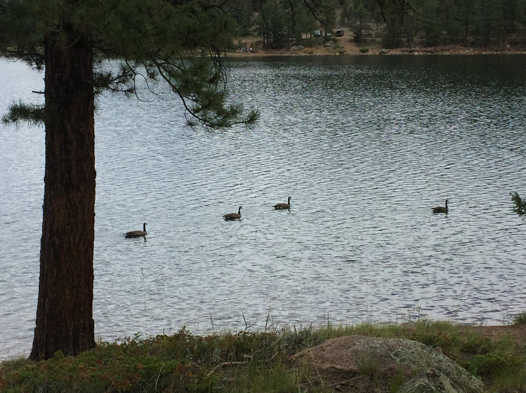 Castle Mountain Recreation-Bailey必去景点