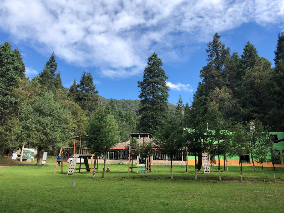 Villas Del Bosque Santa Elena-Nanacamilpa必去景点