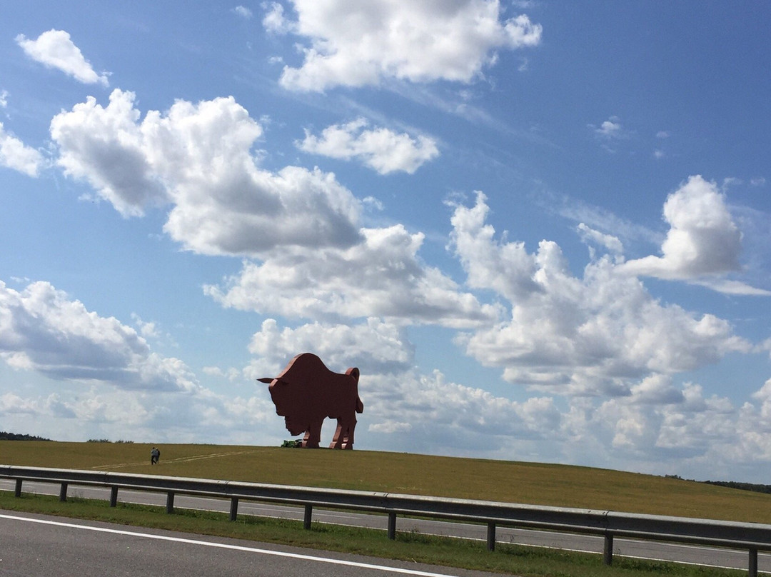 Bison on Route Brest - Minsk景点图片
