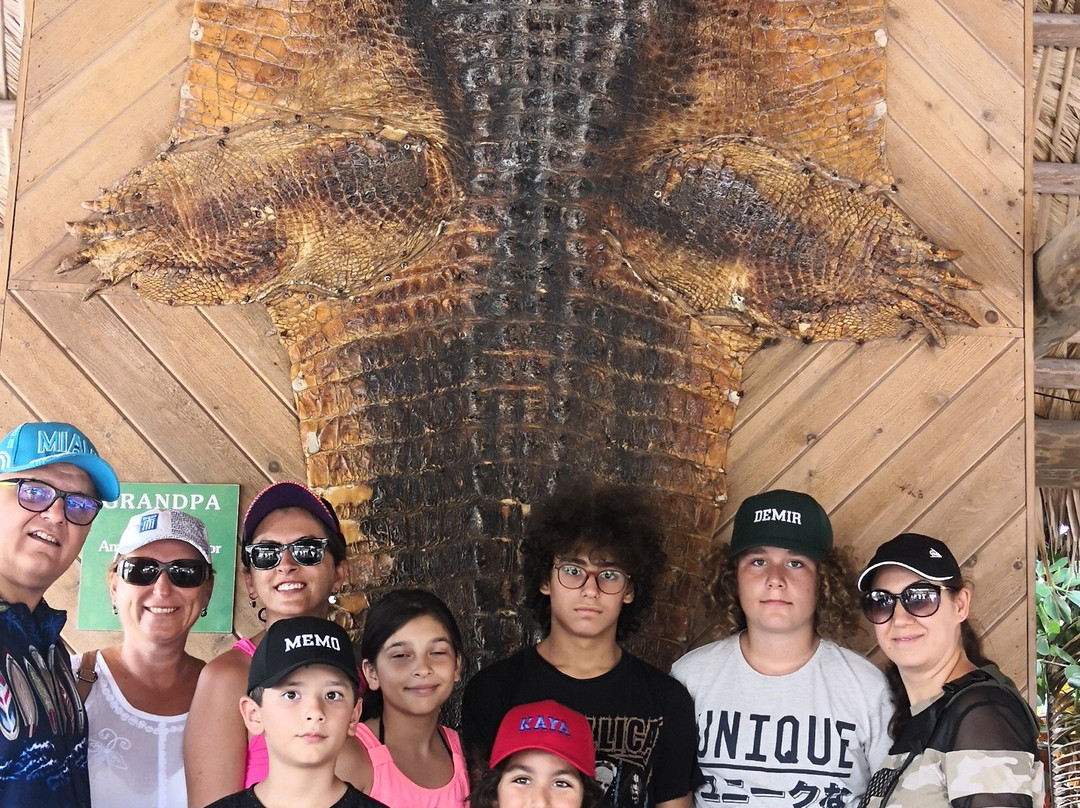 大沼泽地鳄鱼场-霍姆斯特德必去景点