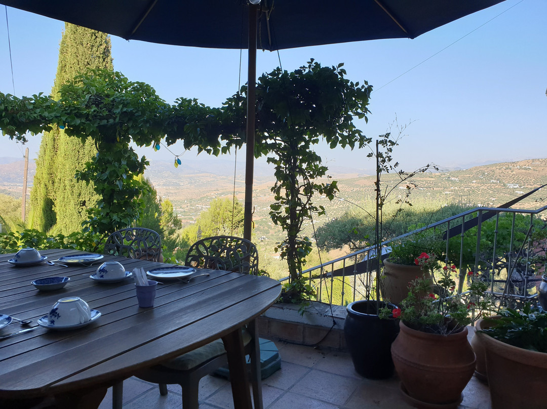 El Nispero Dulce主图