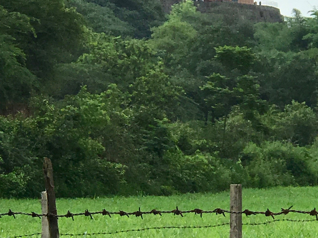 Bharatgarh Fort主图