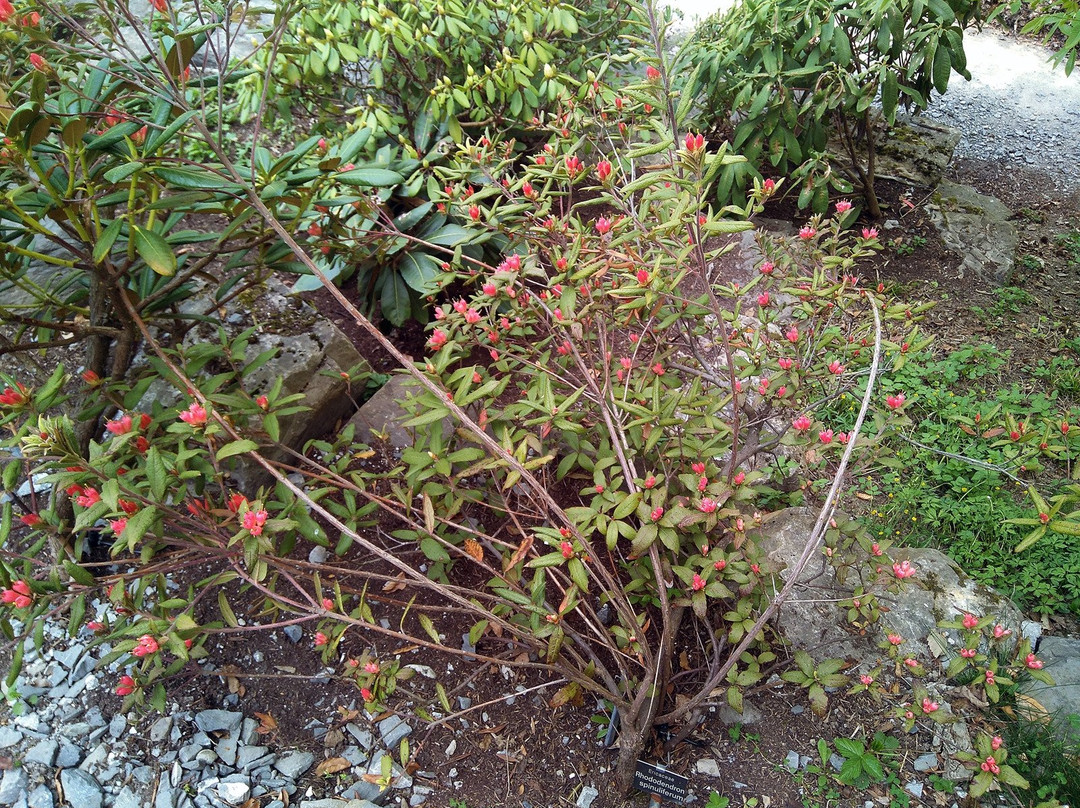 Jardin Botanique Lausanne-洛桑必去景点