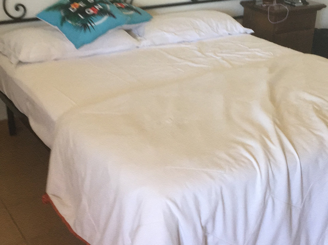 Agriturismo San Matteo主图