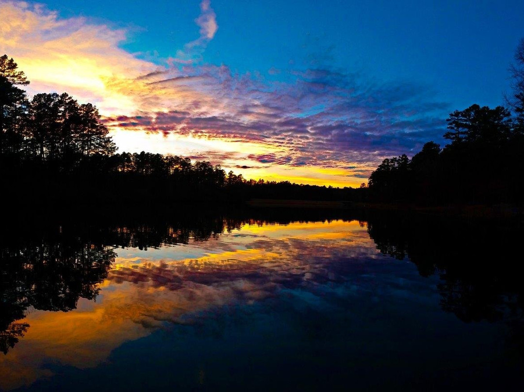 Wildwood Park for the Arts-小石城必去景点