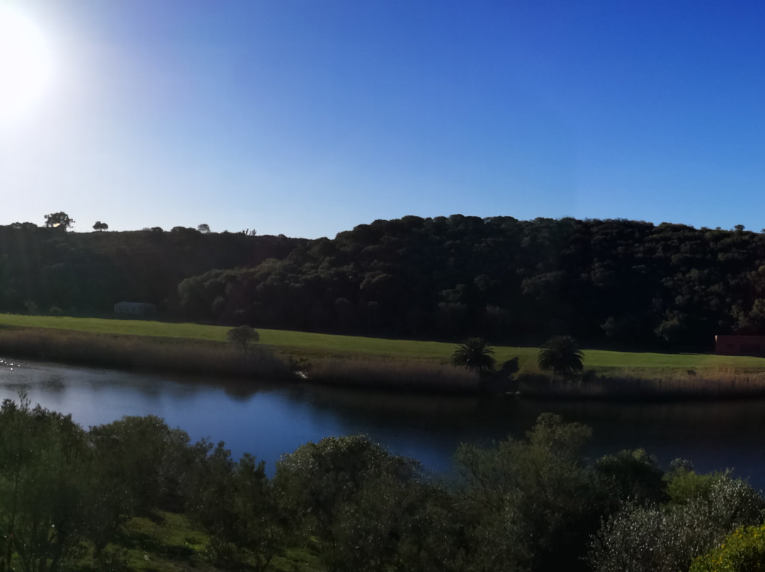 Wild Olive Guest Farm主图