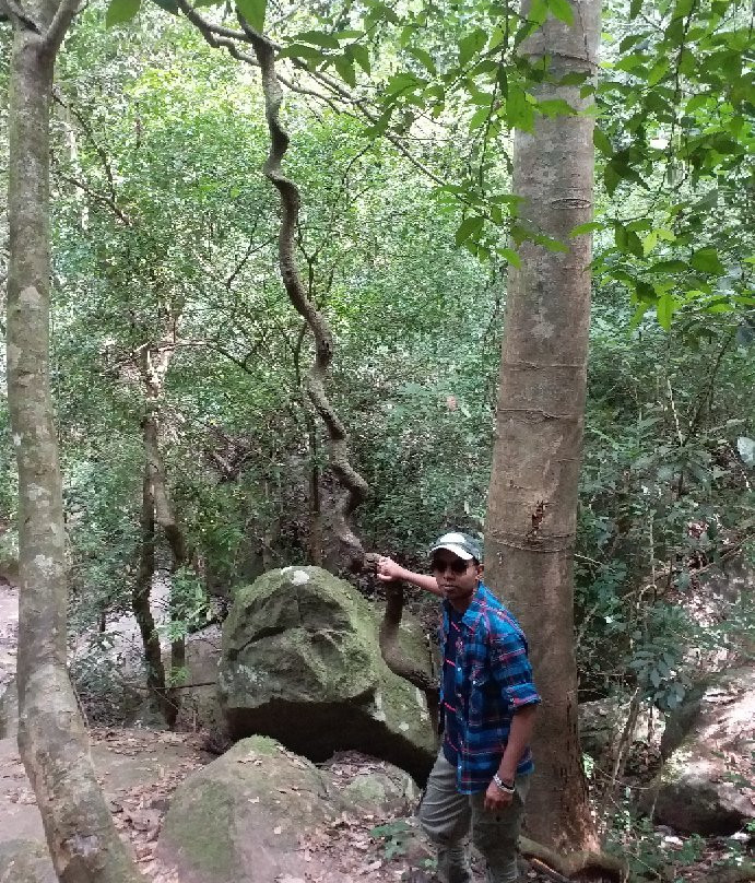 Kirigalpoththa Hike-Ohiya必去景点