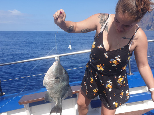 Madeira Ocean Tours-沙尔必去景点