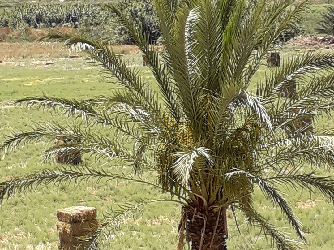 Grecotel Casa Paradiso主图