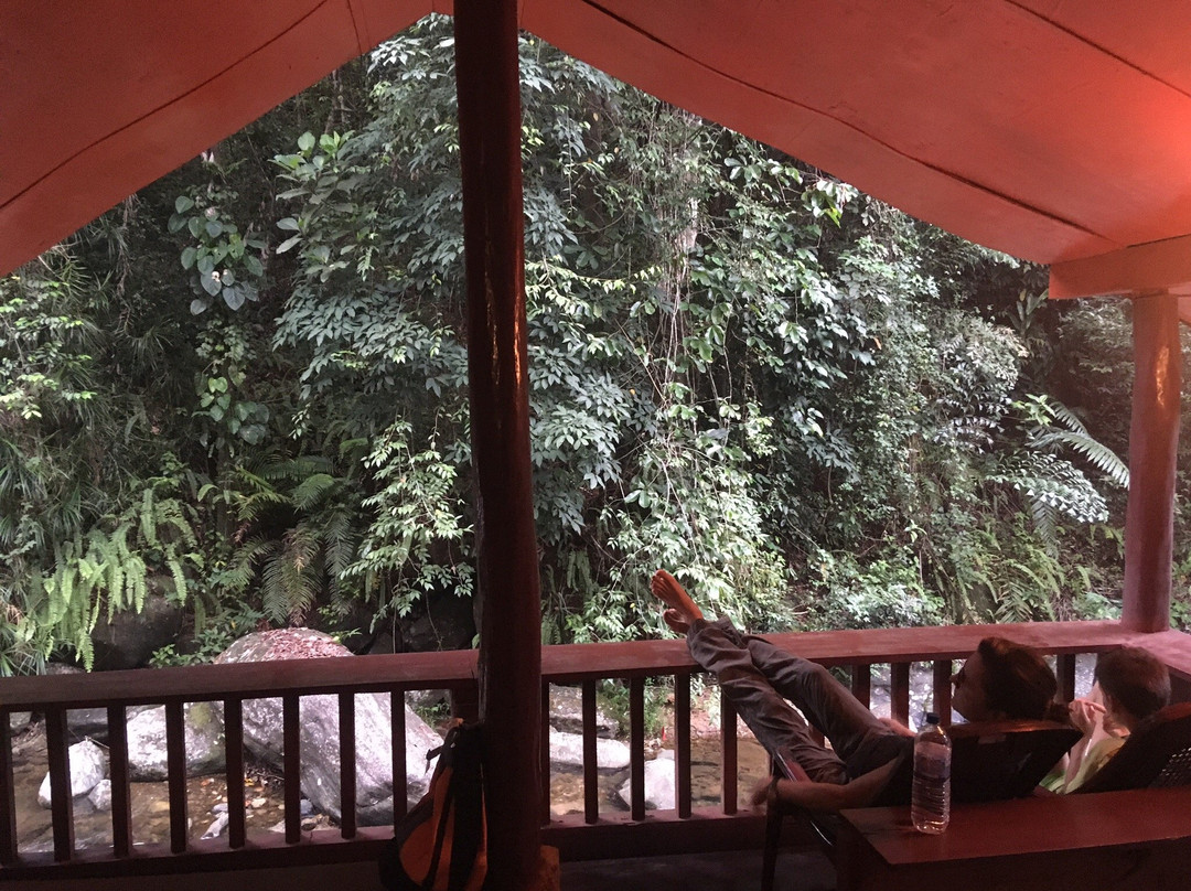 Gallene Gala Nature Resort