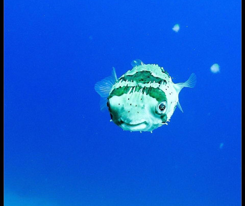 Rocio del Mar-圣何塞卡波必去景点