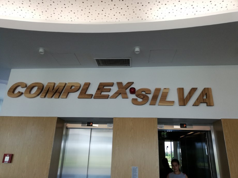 Complex Silva主图