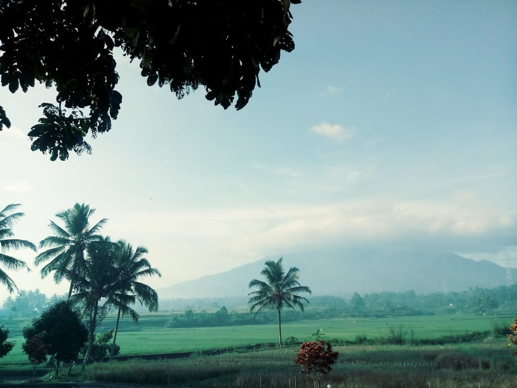 Hotel Kolivera主图