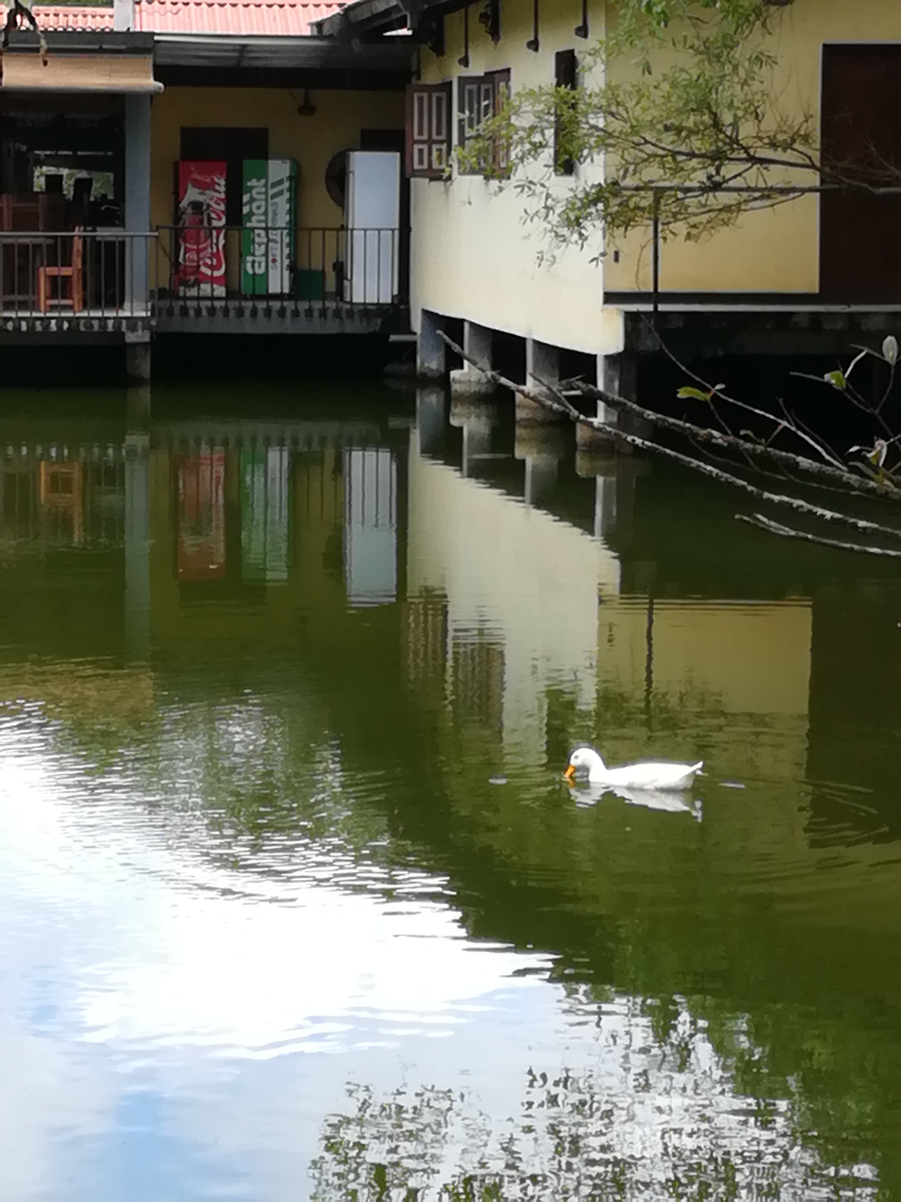 宁静湖精品酒店-portrait