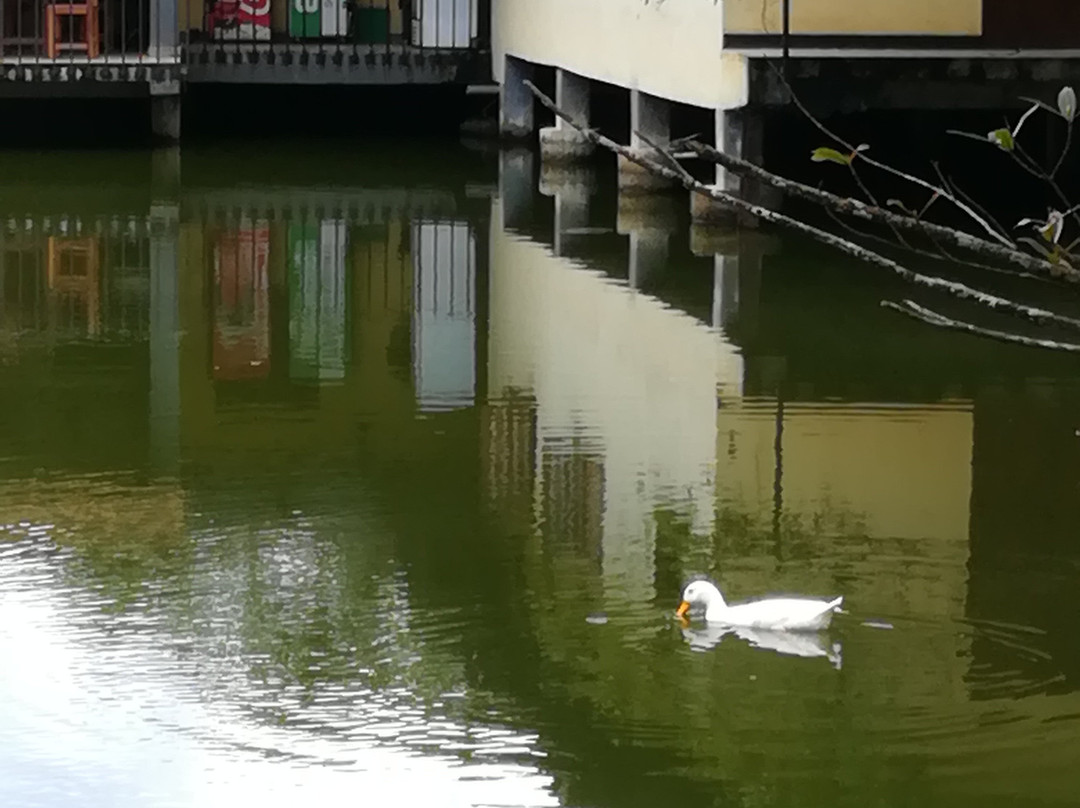 宁静湖精品酒店主图