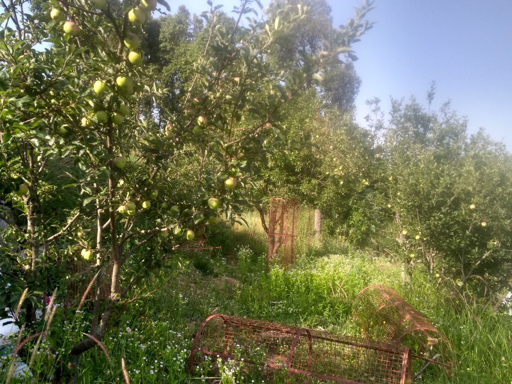 Shri Shail Inn Mukteshwar主图