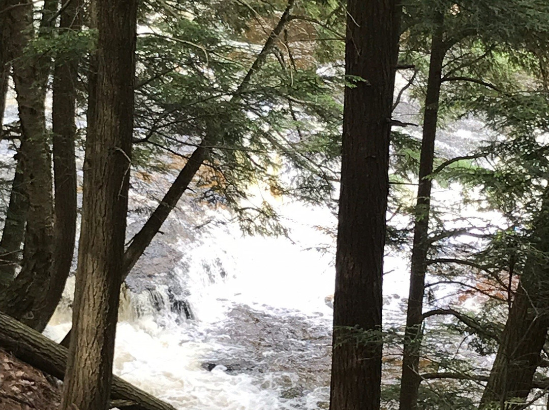 Agate Falls Scenic Site-Trout Creek必去景点