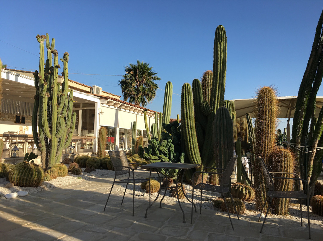 Garden Cactus - Relais, Suite de Charme and Botanical Park主图