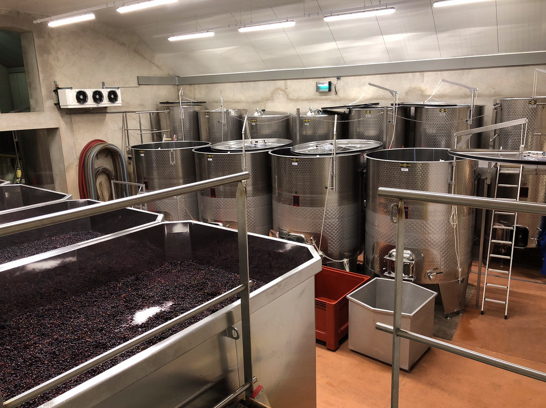 Domaine de l'Eveche景点图片