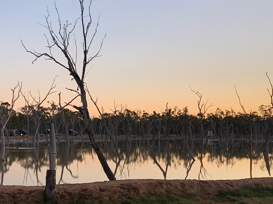 Lara Wetlands景点图片