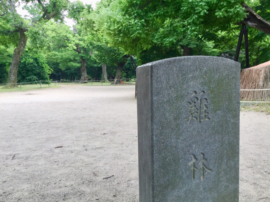 Gyerim Forest-庆州市必去景点
