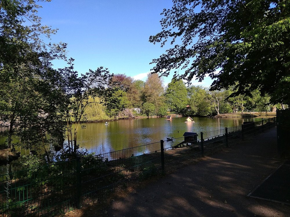 Tierpark Petermoor Bassum景点图片