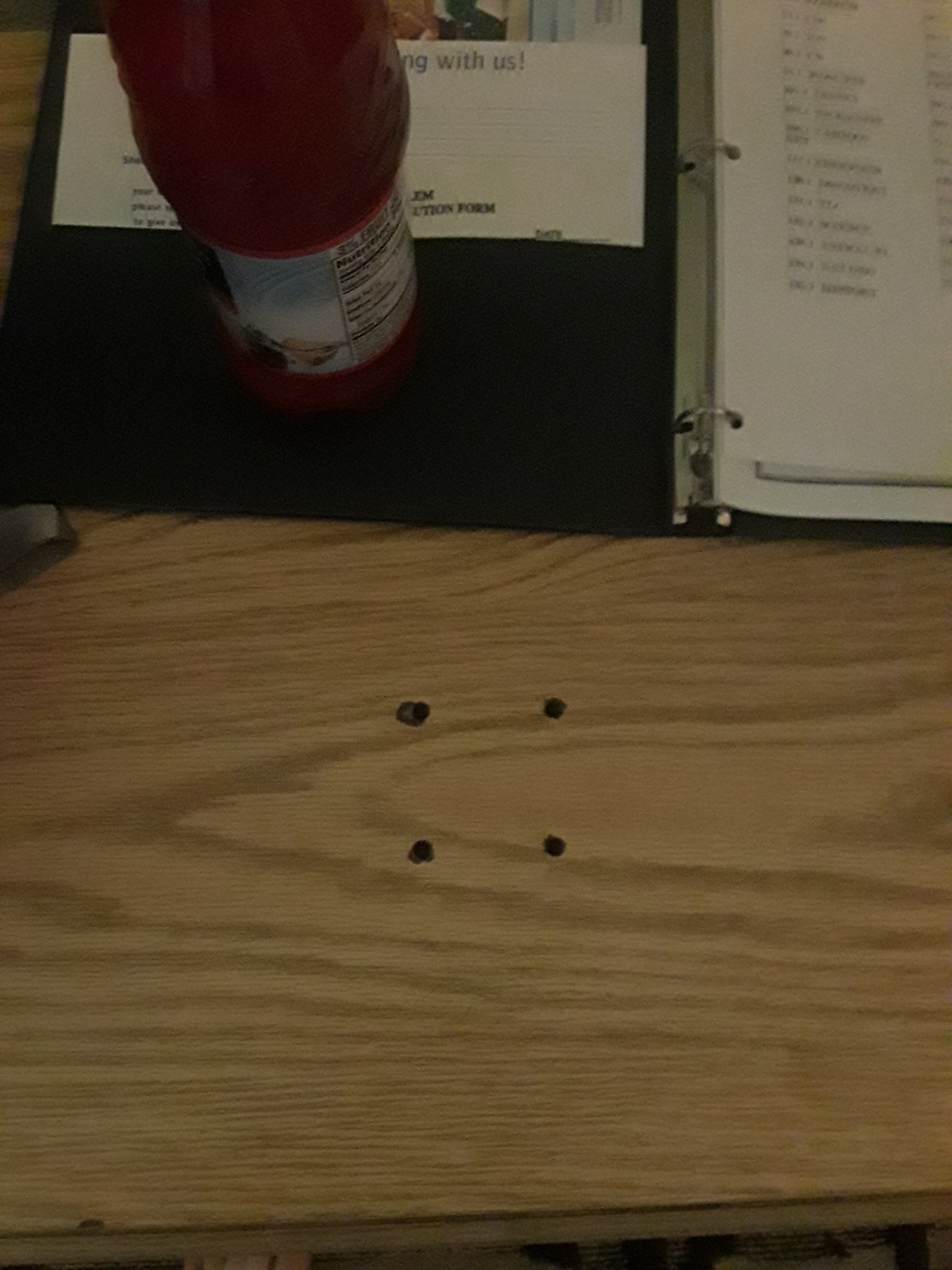 Days Inn by Wyndham Jackson-portrait