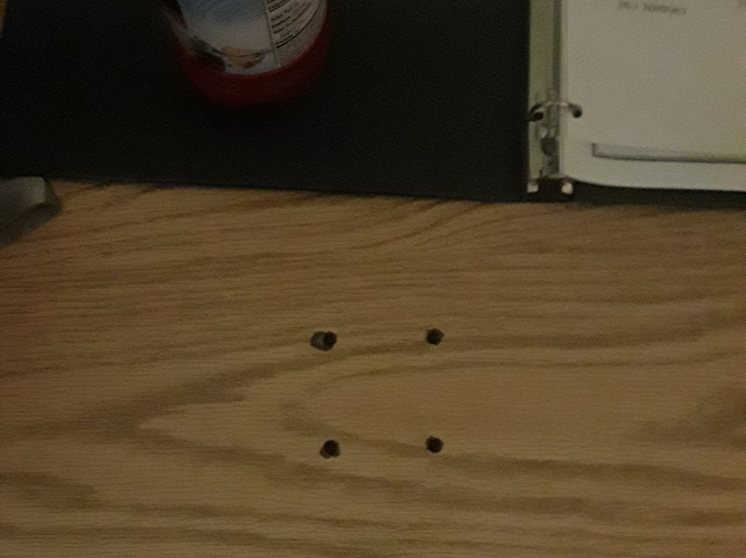 Days Inn by Wyndham Jackson主图