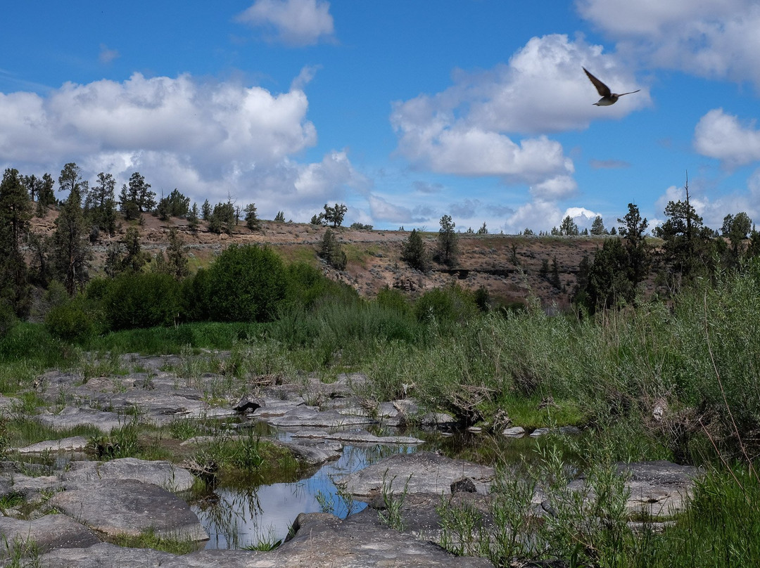 Cline Falls State Park景点图片