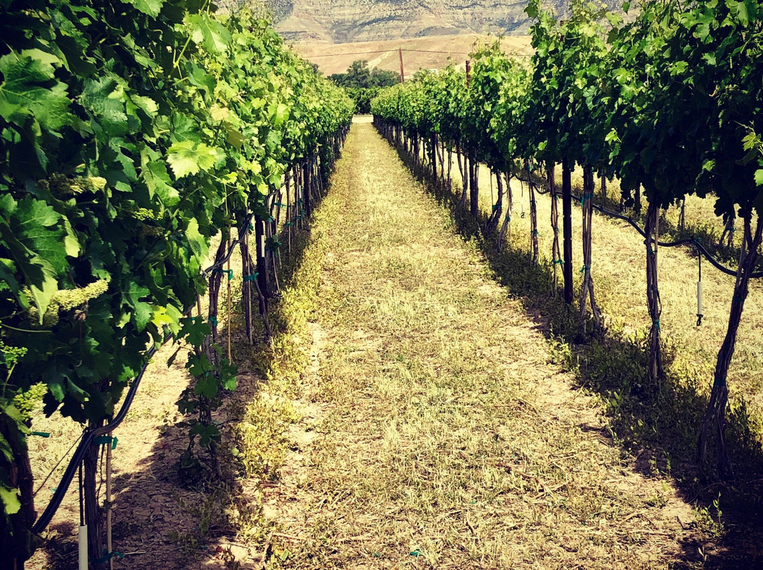 Restoration Vineyards-Palisade必去景点