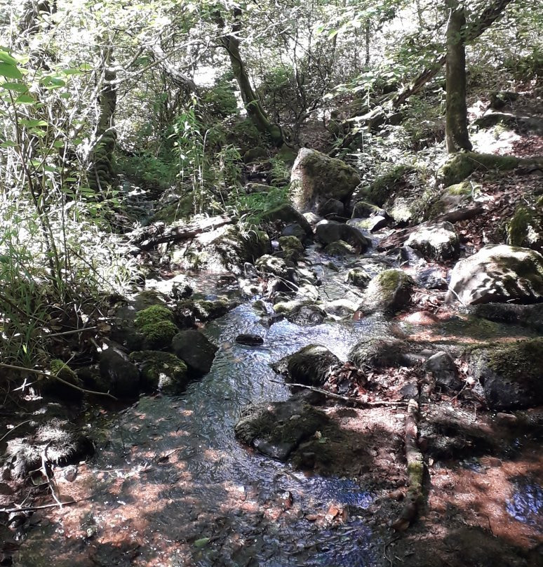 Cascade de Brisecou景点图片