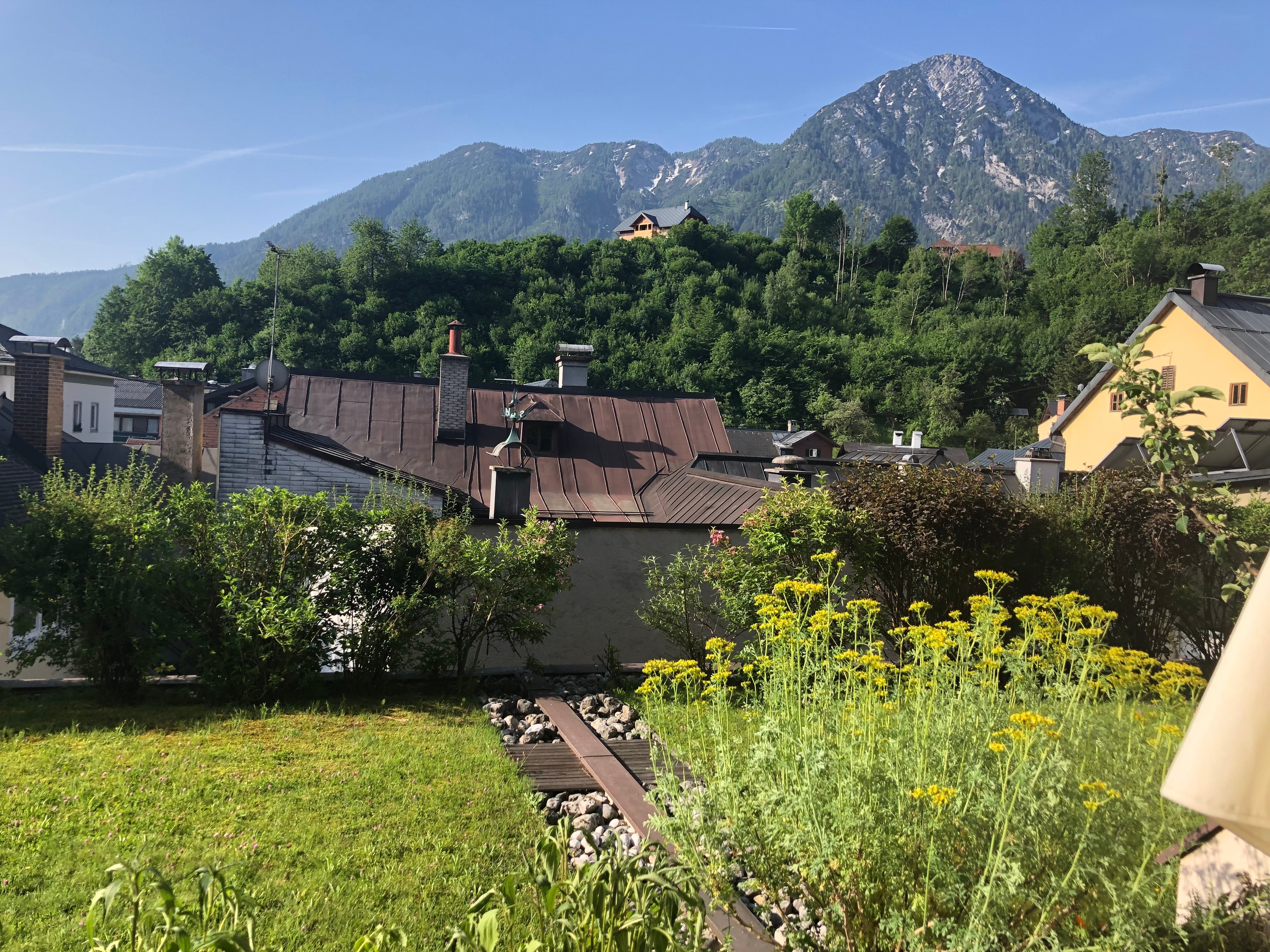 Spa Hotel Erzherzog Johann-酒店景观