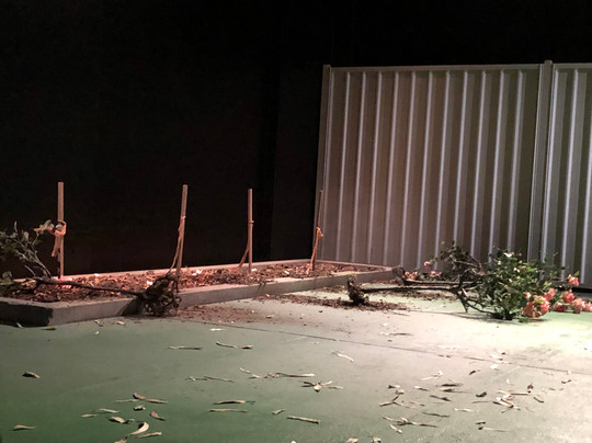 贝尔沃街剧院-悉尼必去景点