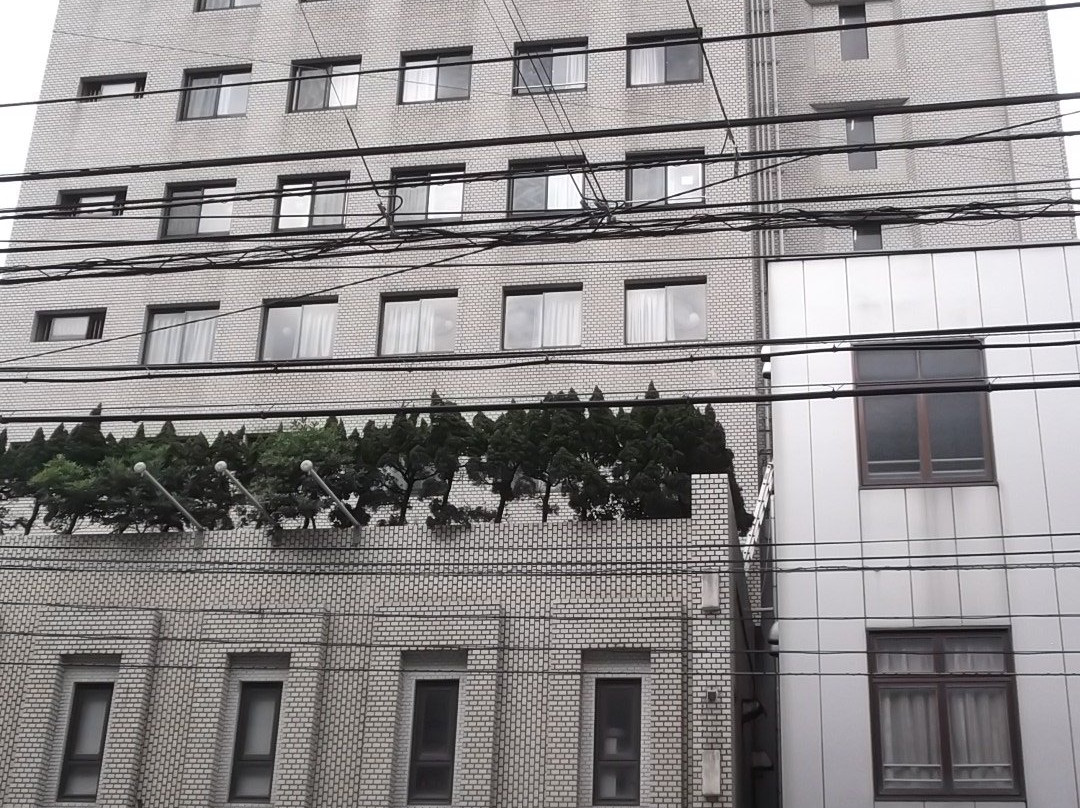 Amami Port Tower Hotel主图