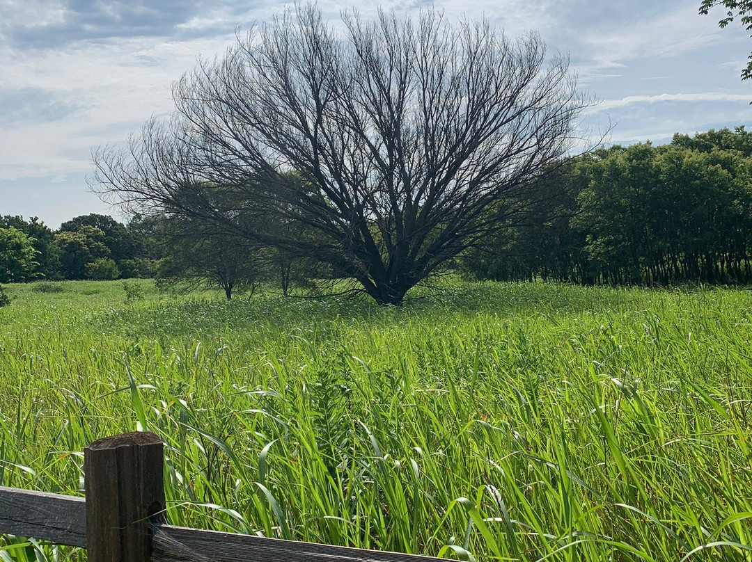 Martin Park Nature Center-俄克拉何马城必去景点