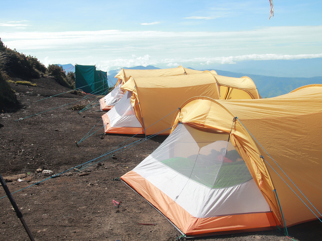 Kerinci Seblat National Park-West Sumatra必去景点
