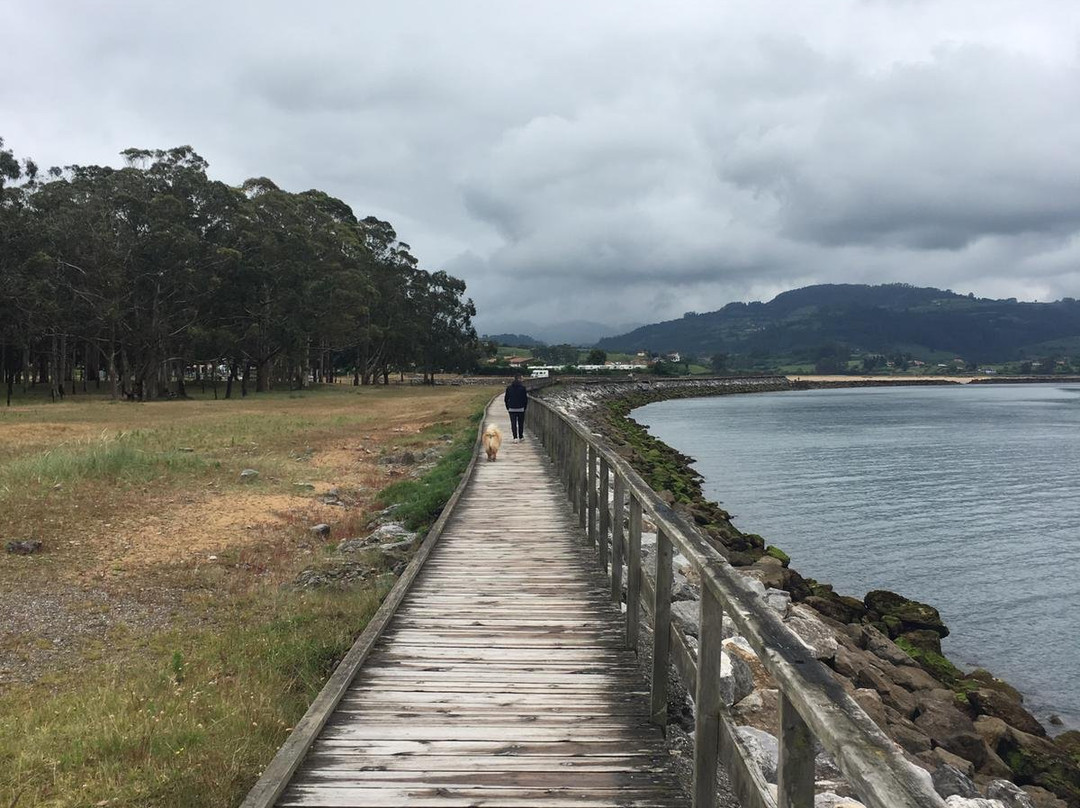 Playa De Rodiles-比拉维西奥萨必去景点