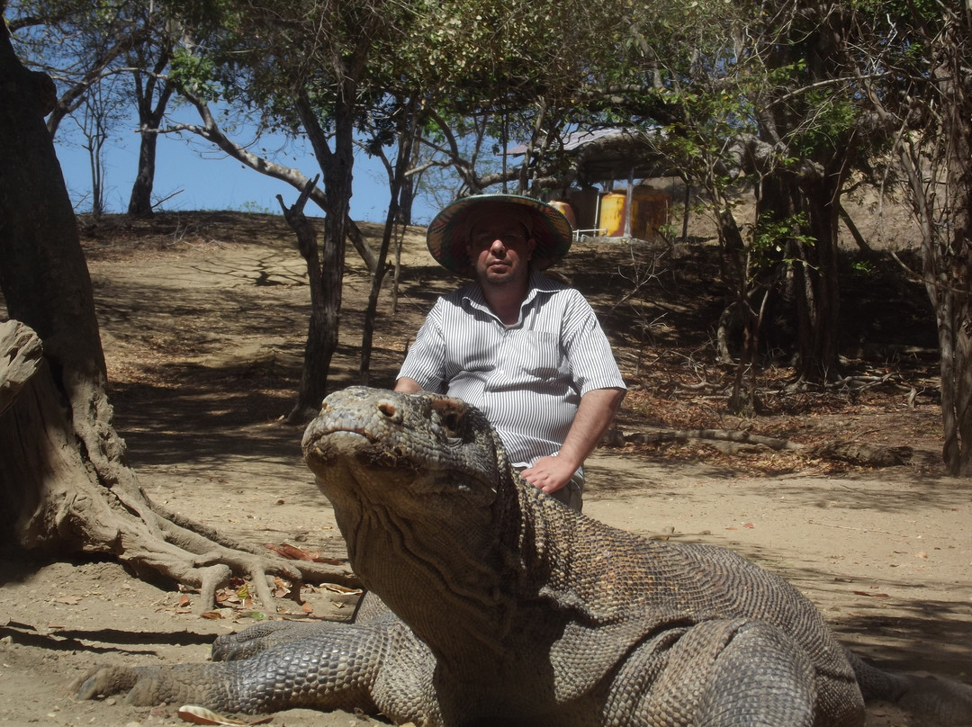 Waecicu Beach-Labuan Bajo必去景点